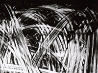 O.T.8 animat.gif (419893 Byte)