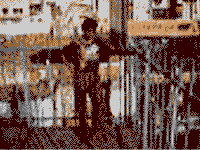 walk ii animat.gif (65030 Byte)