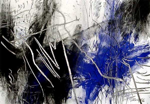 z.96.1.jpg (54966 Byte)