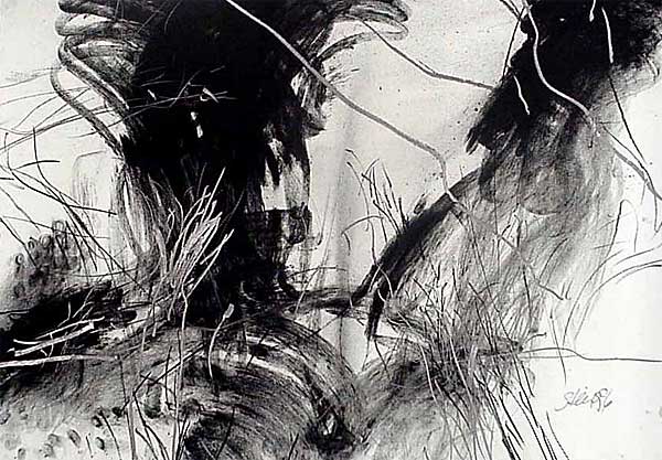 z.96.4.jpg (63863 Byte)