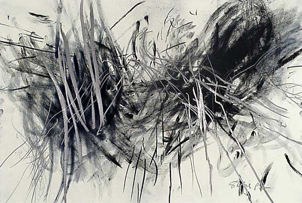 z.97.1.jpg (56610 Byte)