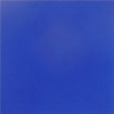 50.fl.blau.kl..jpg (1698 Byte)