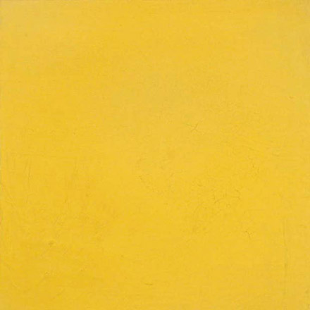 50.fl.gelb.jpg (20626 Byte)