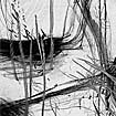 50.sw.kl.4.jpg (4491 Byte)