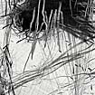 50.sw.kl.5.jpg (4468 Byte)