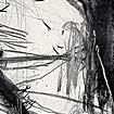 50.sw.kl.6.jpg (4196 Byte)