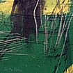 50.z.Wiese.kl.jpg (3803 Byte)