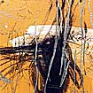 50.z.orange.kl.5.jpg (4838 Byte)