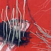 50.z.rot.kl.jpg (4906 Byte)