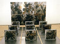 bb2.jpg (10843 Byte)
