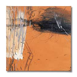 Ts_014 orange.jpg (8652 Byte)