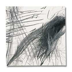 Ts_031Dsw.jpg (11509 Byte)
